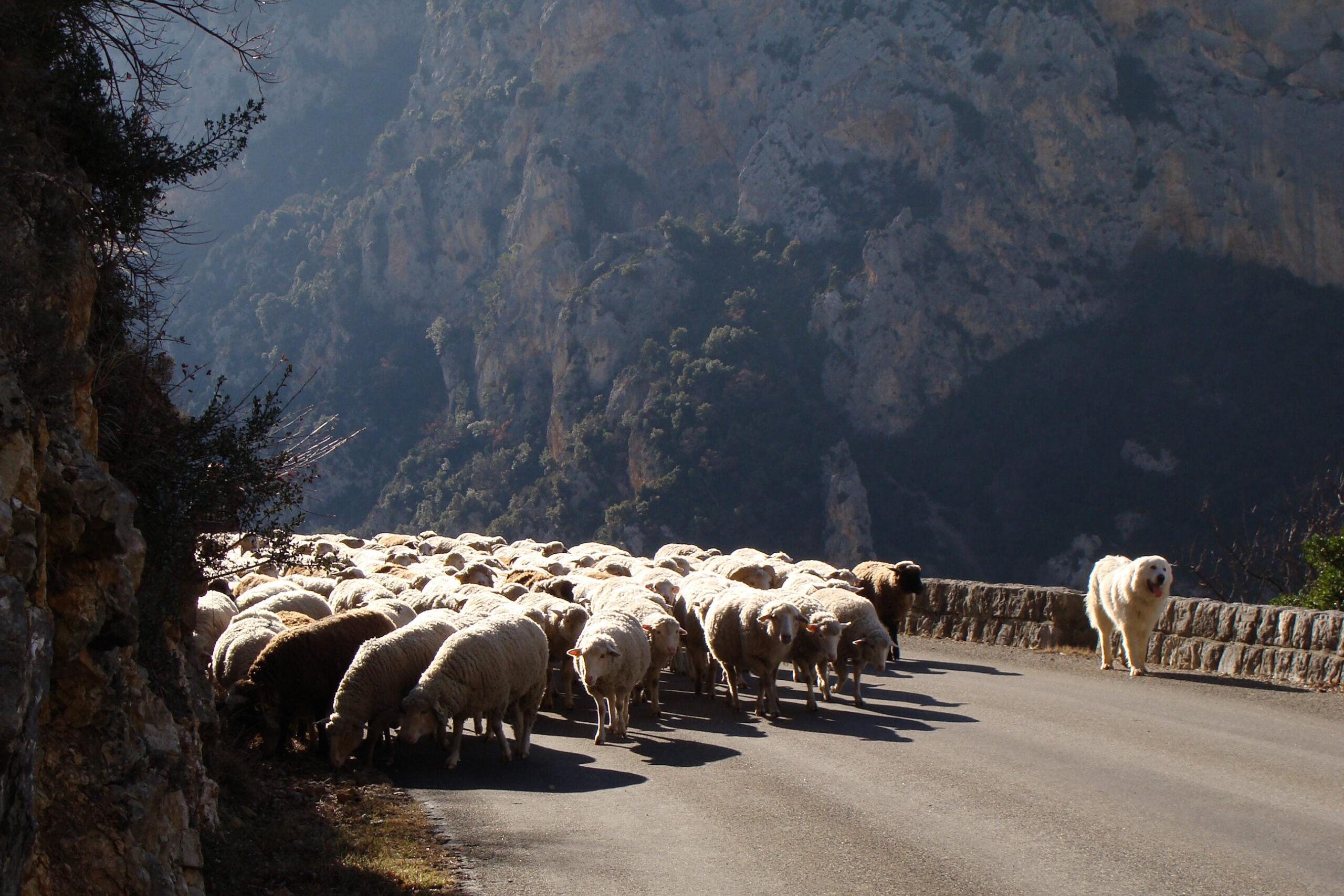 Pastoralisme, agriculture et artisanat